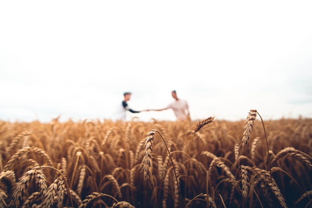 Agri-Industry B2B Landing